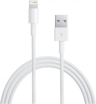 Mijnenveld microscopisch Station ᐅ • Lightning kabel geschikt voor Apple iPhone X - 1 Meter | Eenvoudig bij  GSMOplader.be