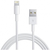 Lightning kabel geschikt voor Apple iPad Air (2019) - 1 Meter