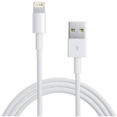 Lightning kabel geschikt voor Apple iPhone 5C - 2 Meter