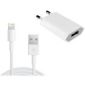 Lightning Oplader geschikt voor Apple iPad Mini 4 - 5 Watt - 2 meter 