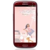 Samsung Galaxy S3 La fleur Opladers